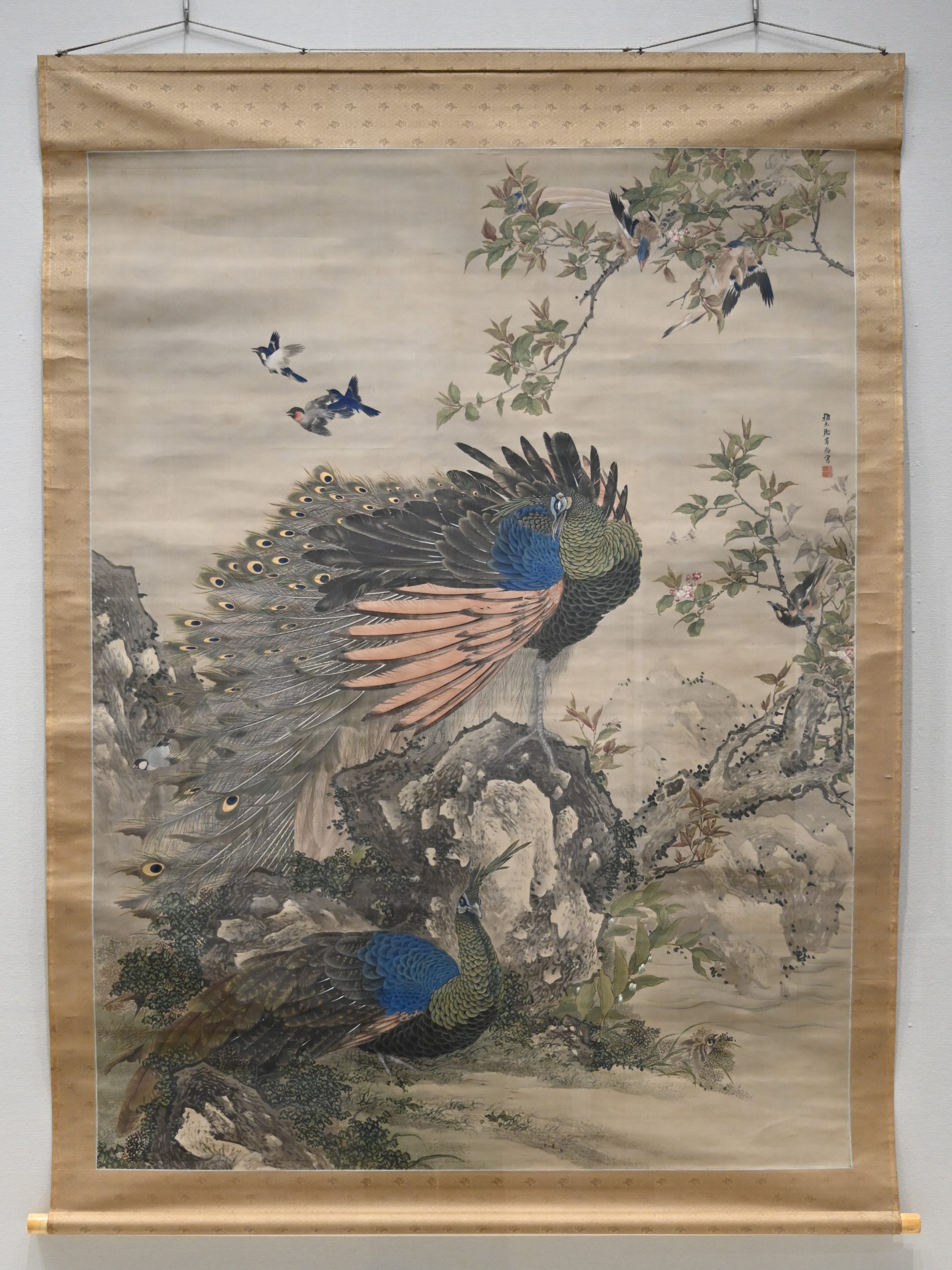 きもののヒミツ」展示紹介②岸駒《孔雀図》 | 静岡市美術館